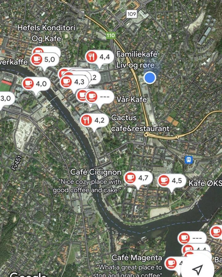 Dammyr, Close To City With Parking Fredrikstad Eksteriør billede